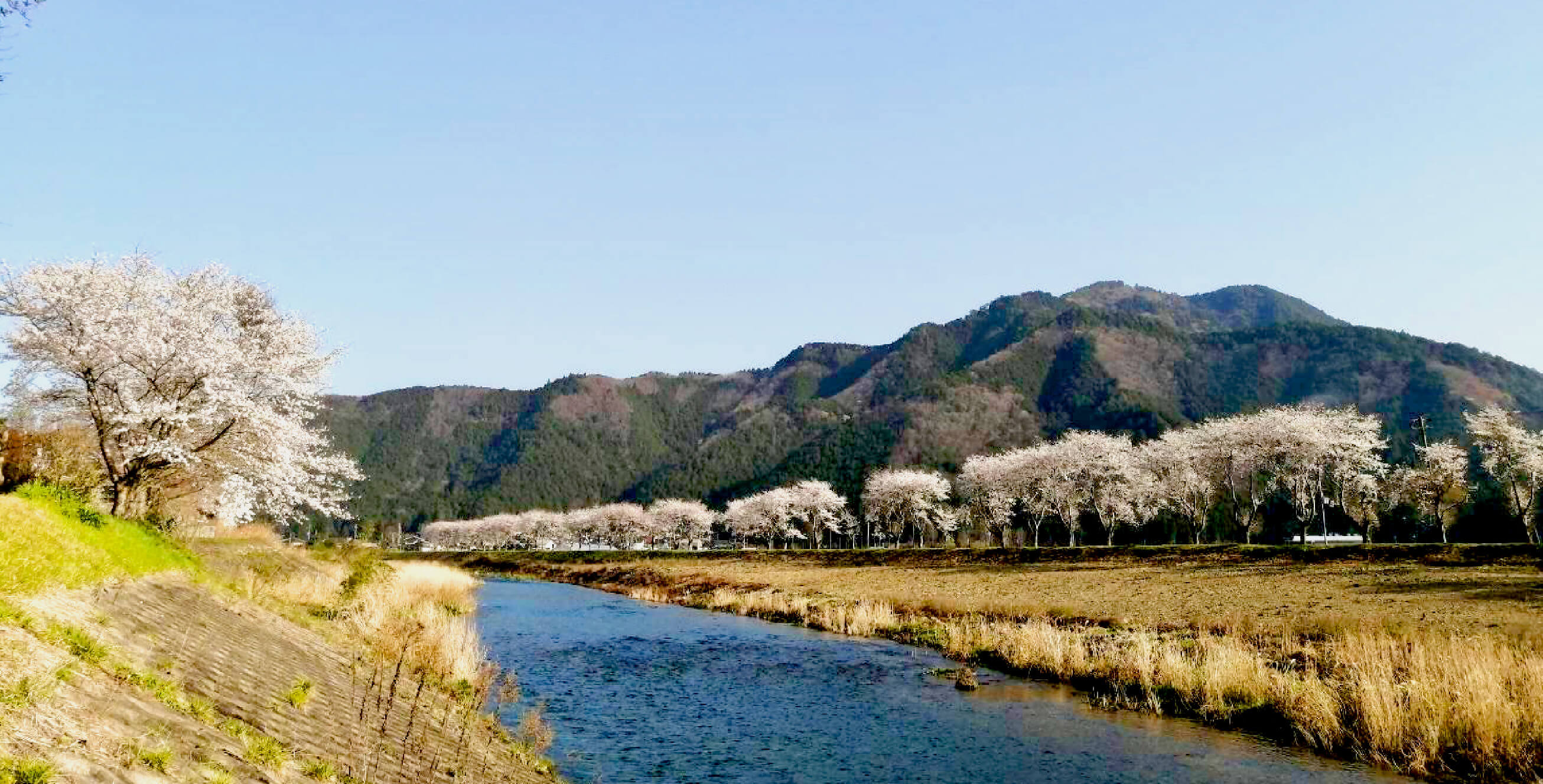 経営者と働く人を応援します